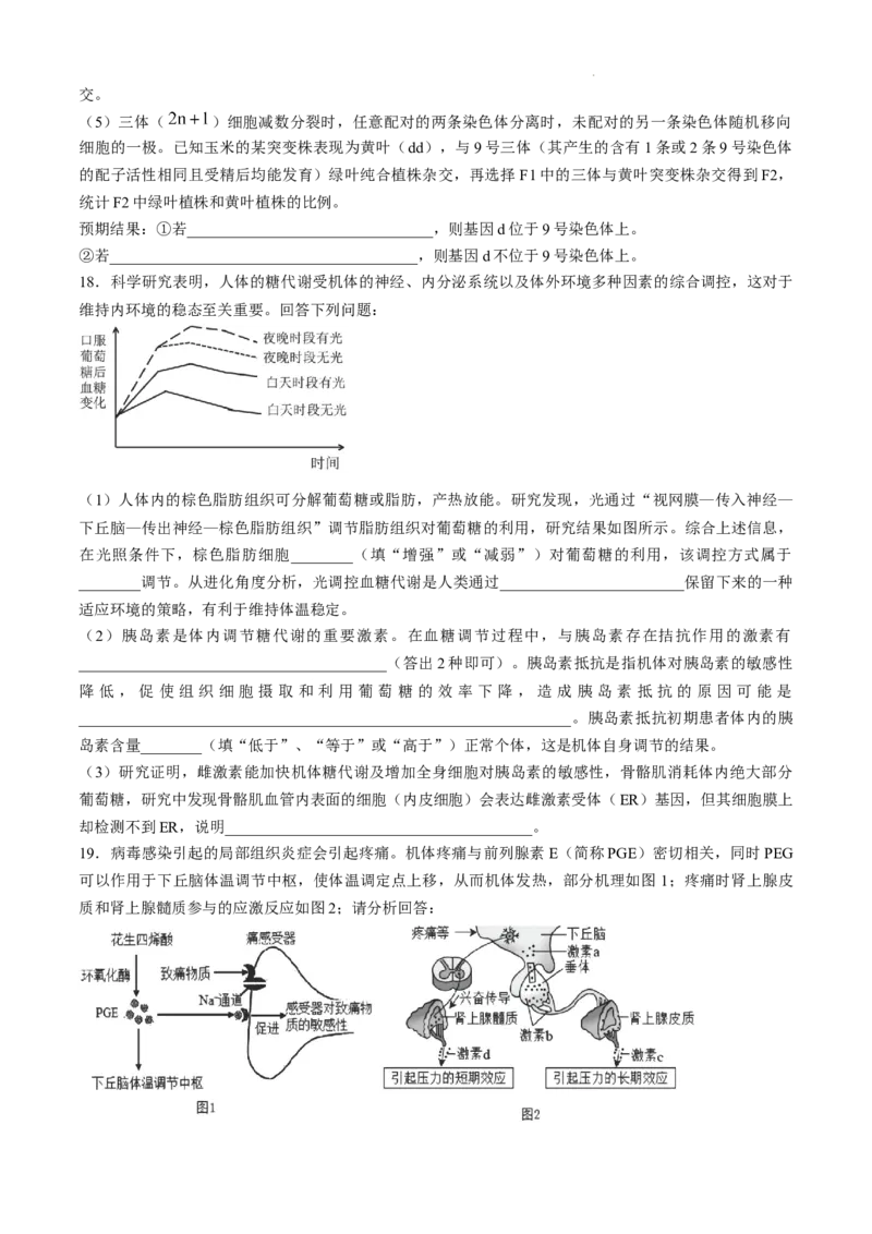 安徽省六安第一中学2024-2025学年高三上学期11月月考生物+答案_12月_241202安徽省六安一中2024-2025学年高三第四次月考（11月）（全科）