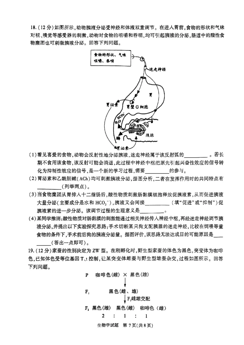 2024年合肥市高三第二次教学质量检测生物试卷_2024年4月_01按日期_24号_2024届安徽省合肥市高三第二次教学质量检测_2024届安徽省合肥市高三第二次教学质量检测-生物