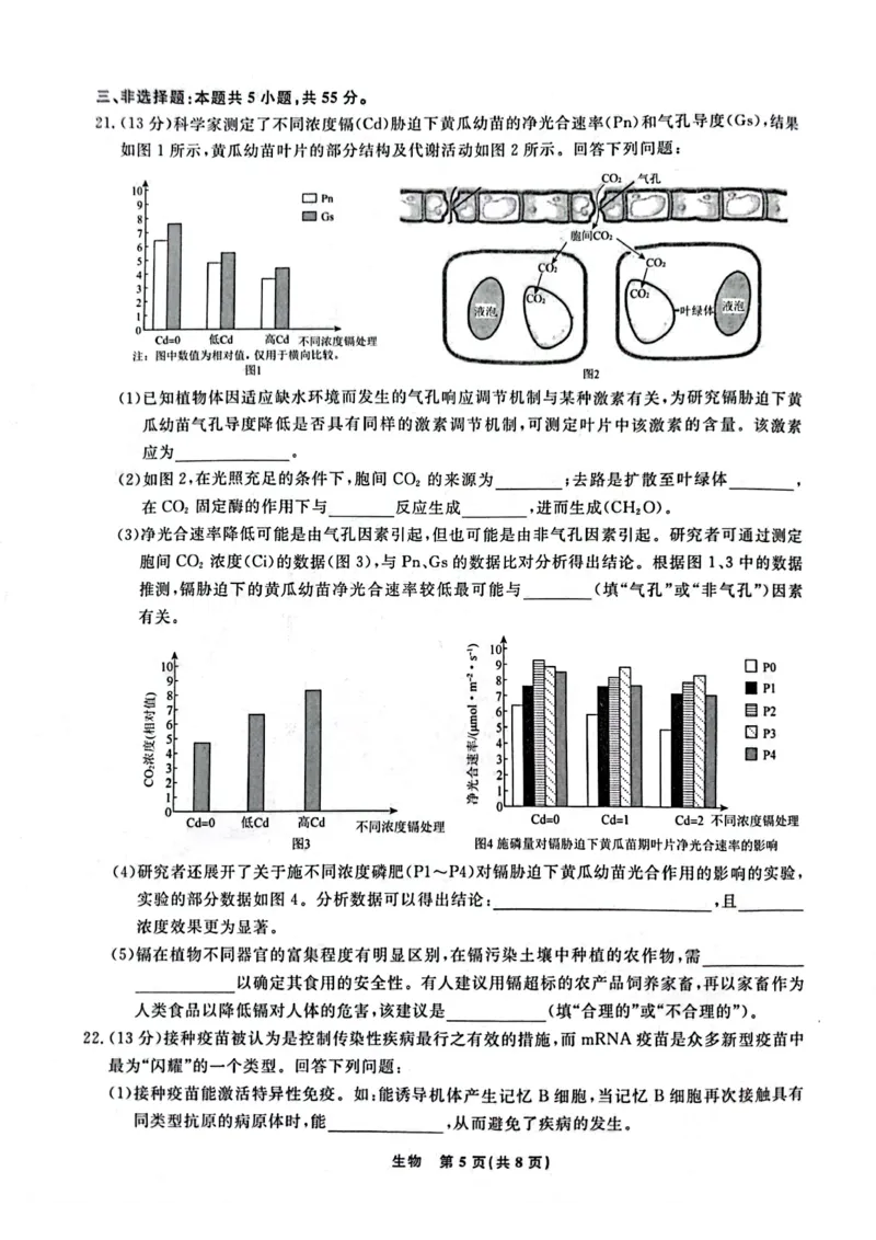 一模考试生物试卷_2024年3月_013月合集_2024届辽宁省名校联盟高三下学期3月份联合考试_辽宁省名校联盟2024届高三下学期3月份联合考试生物