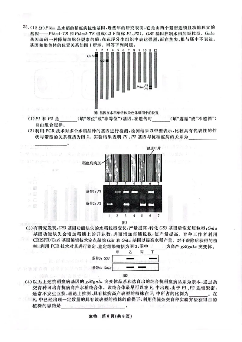 一模考试生物试卷_2024年3月_013月合集_2024届辽宁省名校联盟高三下学期3月份联合考试_辽宁省名校联盟2024届高三下学期3月份联合考试生物