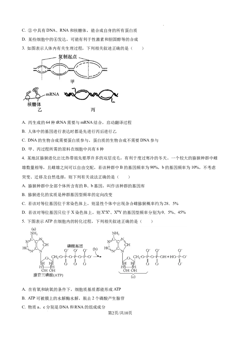 生物试卷（原卷版）_8月_240822湖南省湖南天壹名校联盟2025届高三8月入学联考考试_湖南省湖南天壹名校联盟2025届高三8月入学联考考试生物