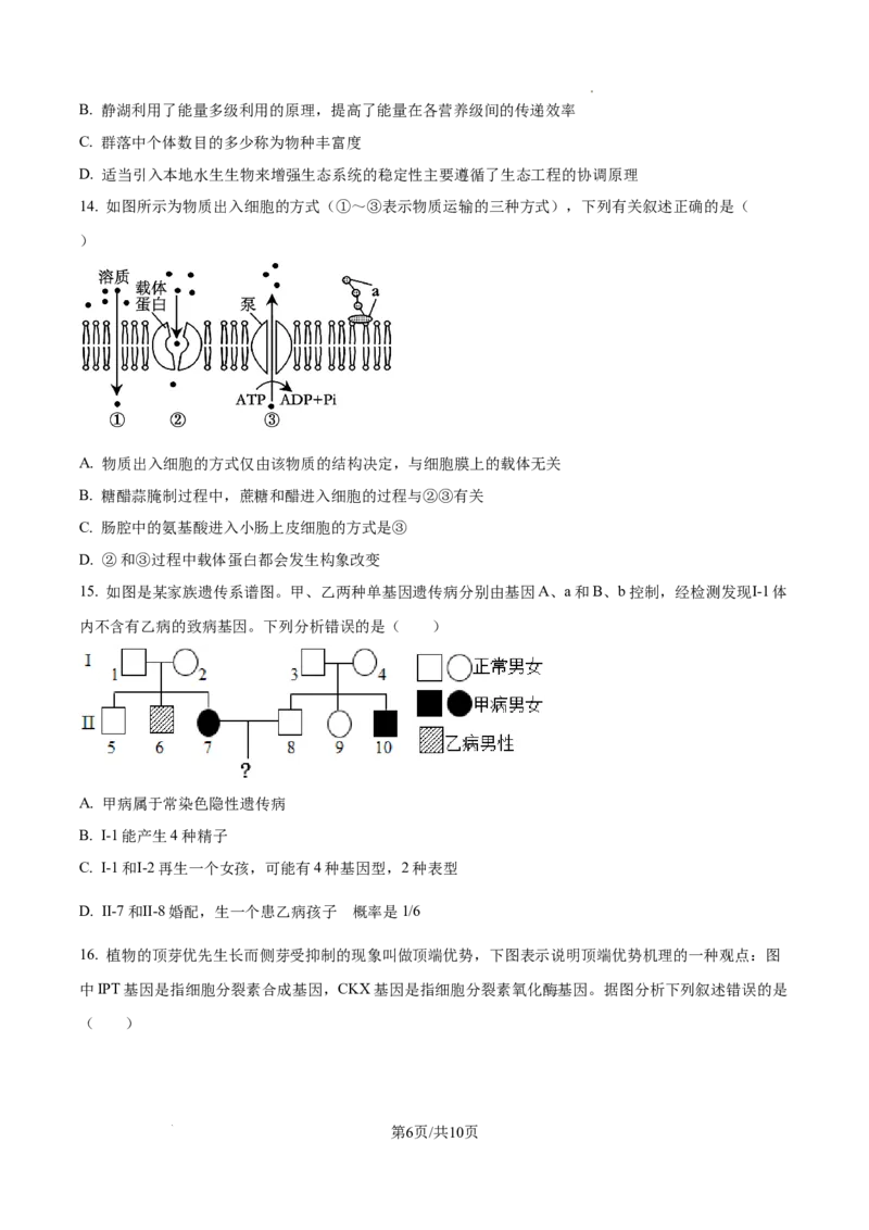 生物试卷（原卷版）_8月_240822湖南省湖南天壹名校联盟2025届高三8月入学联考考试_湖南省湖南天壹名校联盟2025届高三8月入学联考考试生物