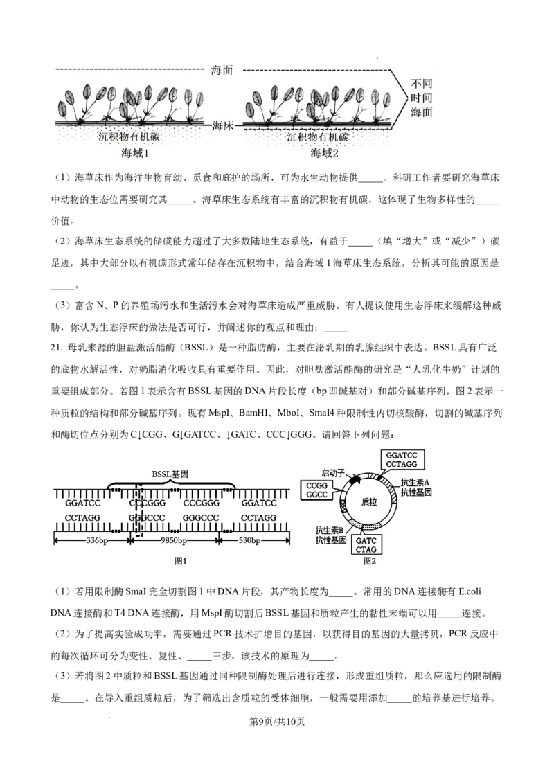 生物试卷（原卷版）_8月_240822湖南省湖南天壹名校联盟2025届高三8月入学联考考试_湖南省湖南天壹名校联盟2025届高三8月入学联考考试生物