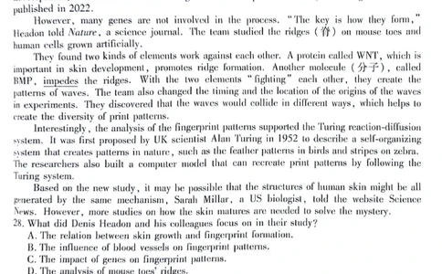 2024届陕西省榆林市高三下学期4月份大联考(三模)英语试题+答案(1)_2024年4月_024月合集_2024届衡水金卷高三4月份大联考(榆林三模)LL