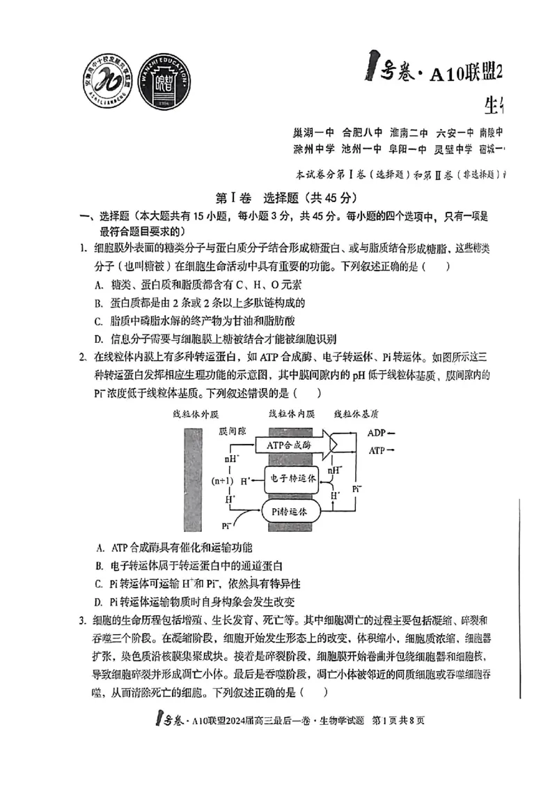 A10联盟最后一卷生物试卷_2024年5月_01按日期_20号_2024届安徽省1号卷A10联盟高三最后一卷_安徽省1号卷A10联盟2024届高三最后一卷生物
