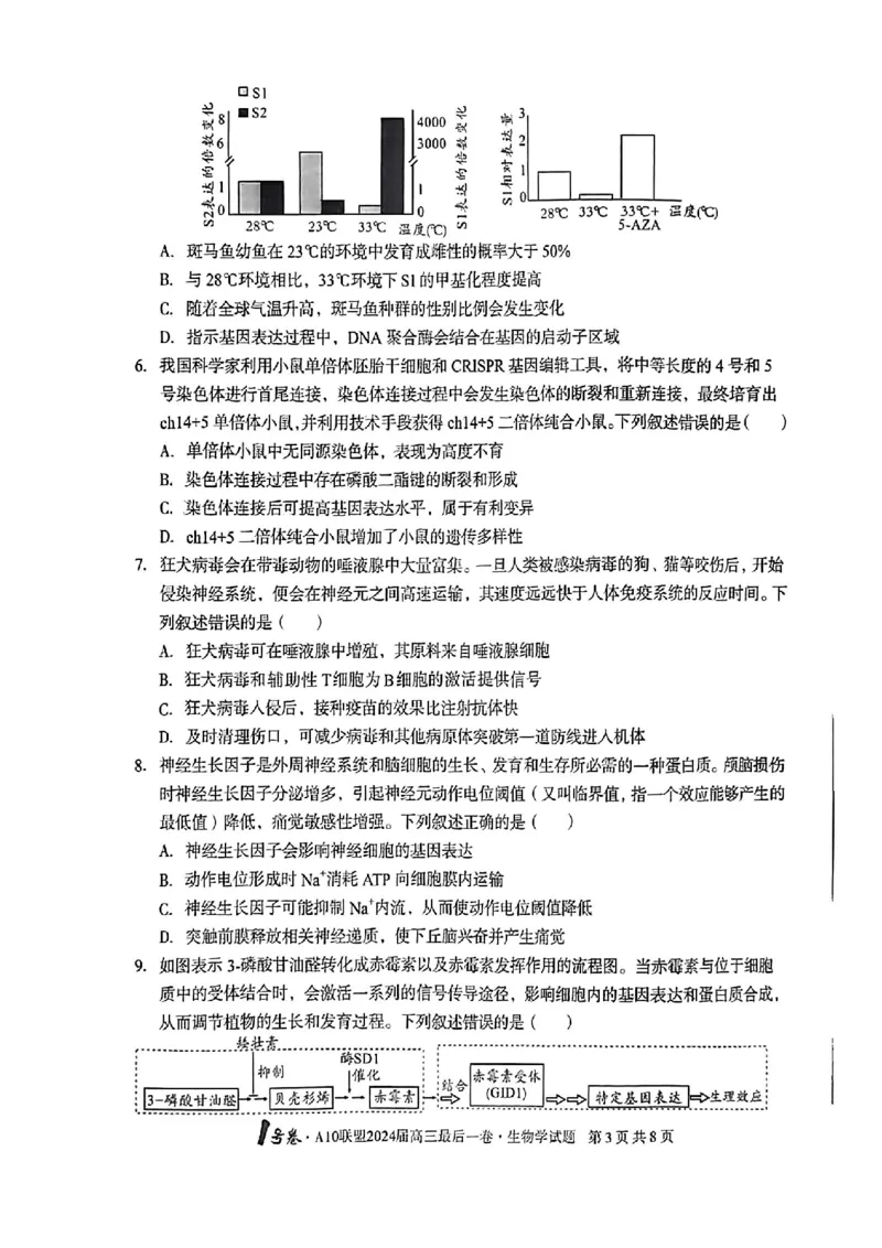 A10联盟最后一卷生物试卷_2024年5月_01按日期_20号_2024届安徽省1号卷A10联盟高三最后一卷_安徽省1号卷A10联盟2024届高三最后一卷生物