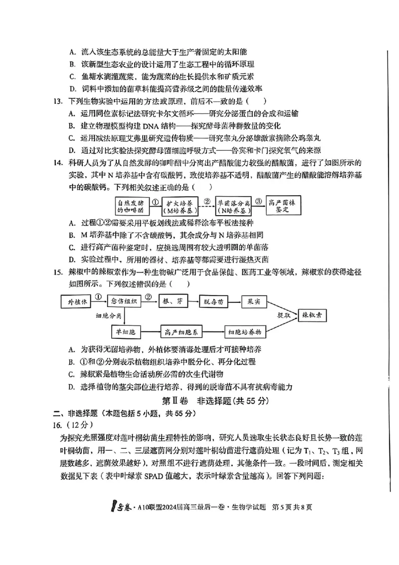 A10联盟最后一卷生物试卷_2024年5月_01按日期_20号_2024届安徽省1号卷A10联盟高三最后一卷_安徽省1号卷A10联盟2024届高三最后一卷生物