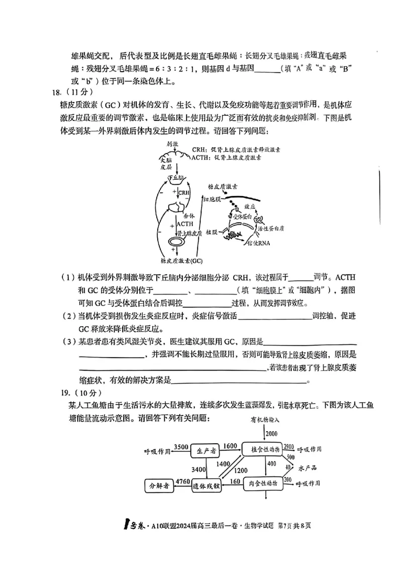 A10联盟最后一卷生物试卷_2024年5月_01按日期_20号_2024届安徽省1号卷A10联盟高三最后一卷_安徽省1号卷A10联盟2024届高三最后一卷生物