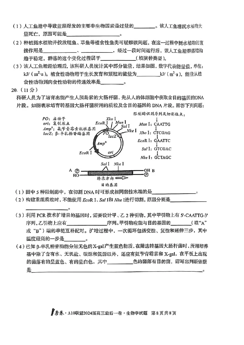 A10联盟最后一卷生物试卷_2024年5月_01按日期_20号_2024届安徽省1号卷A10联盟高三最后一卷_安徽省1号卷A10联盟2024届高三最后一卷生物