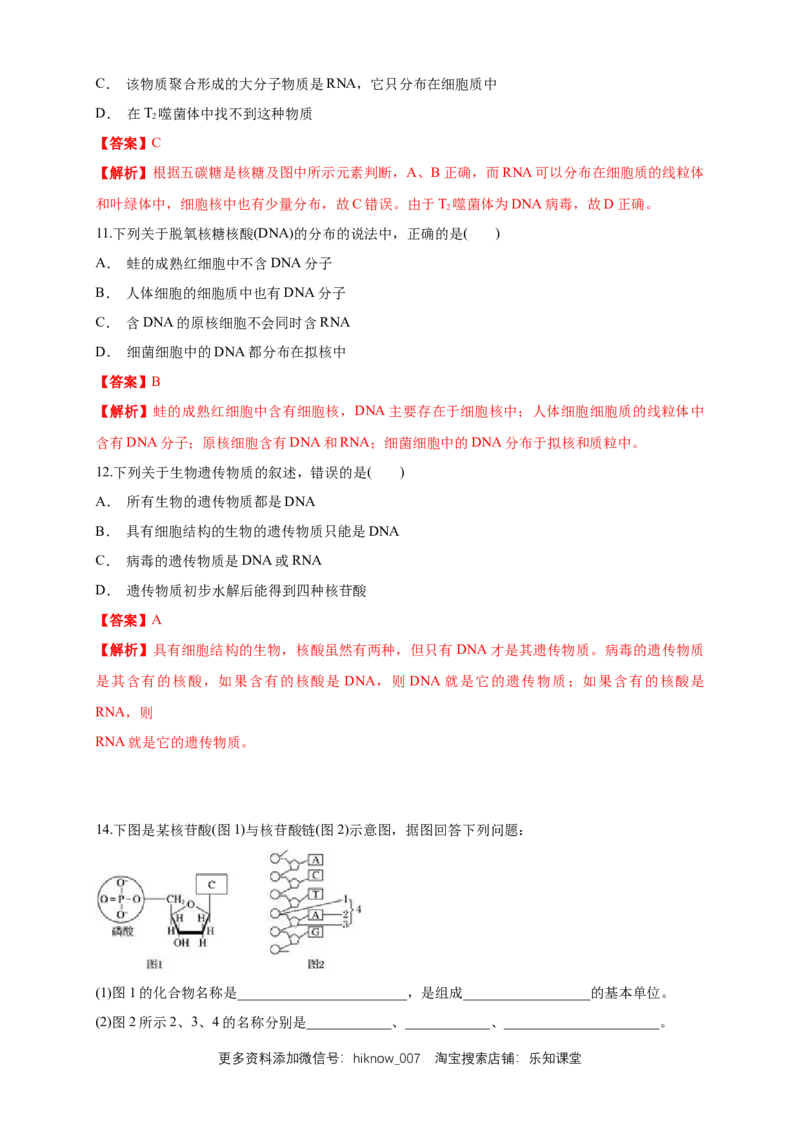 2.5核酸是遗传信息的携带者练习（1）（解析版）_E015高中全科试卷_生物试题_必修1_2.同步练习_2.同步练习（第二套）_2.5核酸是遗传信息的携带者练习（1）