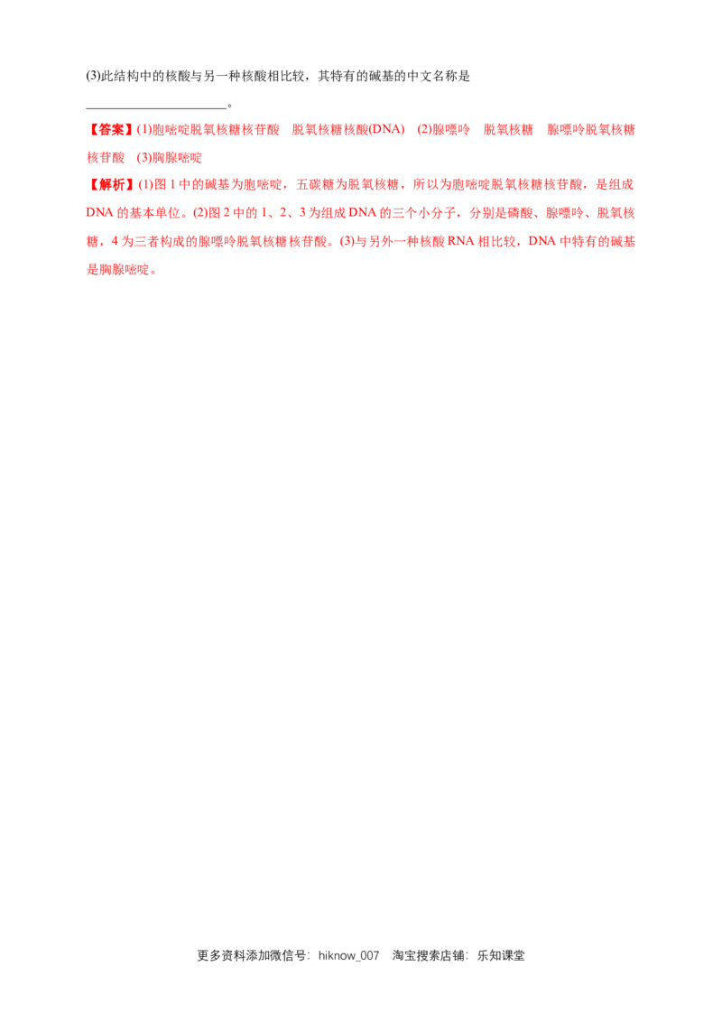 2.5核酸是遗传信息的携带者练习（1）（解析版）_E015高中全科试卷_生物试题_必修1_2.同步练习_2.同步练习（第二套）_2.5核酸是遗传信息的携带者练习（1）