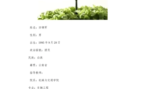 职业生涯规划书[1]_E6-职业规划_57车辆工程专业