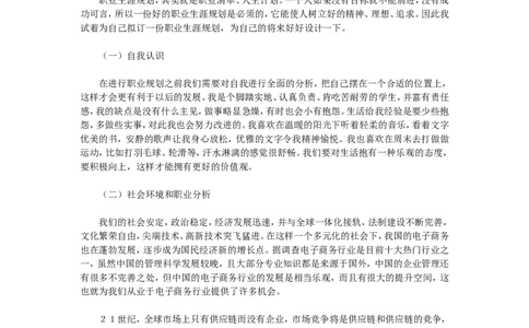 电子商务专业学生职业生涯规划_E6-职业规划_13电子商务专业