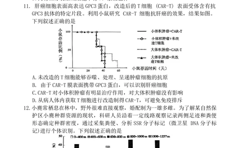 2024届福建省福州市高三下学期4月末质量检测（三模）生物试题+答案(1)_2024年5月_025月合集_2024届福建省福州市高三下学期4月末质量检测（三模）