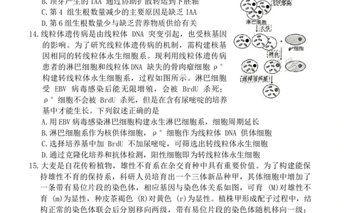 2024届福建省福州市高三下学期4月末质量检测（三模）生物试题+答案(1)_2024年5月_025月合集_2024届福建省福州市高三下学期4月末质量检测（三模）