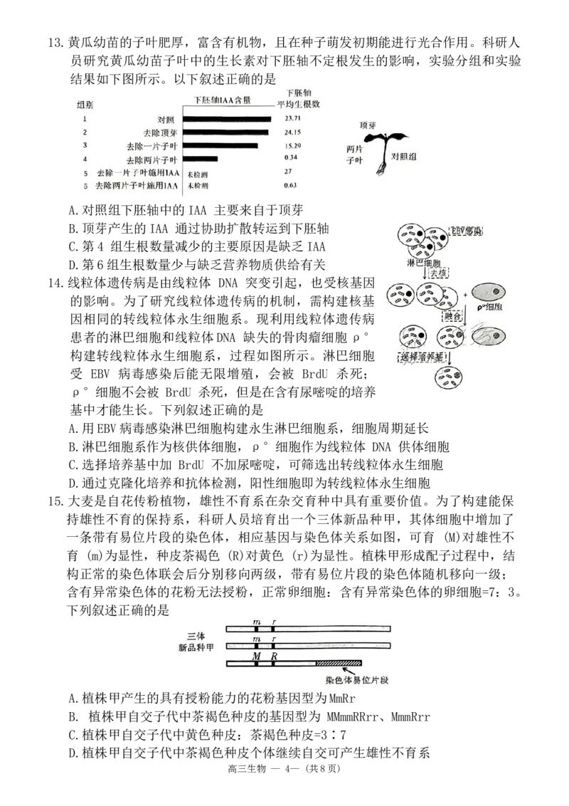 2024届福建省福州市高三下学期4月末质量检测（三模）生物试题+答案(1)_2024年5月_025月合集_2024届福建省福州市高三下学期4月末质量检测（三模）