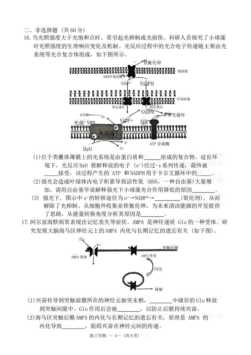 2024届福建省福州市高三下学期4月末质量检测（三模）生物试题+答案(1)_2024年5月_025月合集_2024届福建省福州市高三下学期4月末质量检测（三模）