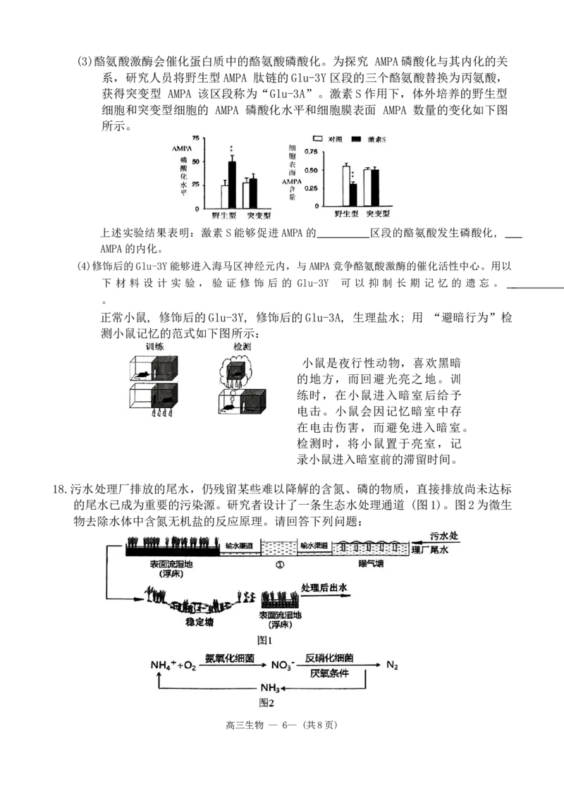 2024届福建省福州市高三下学期4月末质量检测（三模）生物试题+答案(1)_2024年5月_025月合集_2024届福建省福州市高三下学期4月末质量检测（三模）