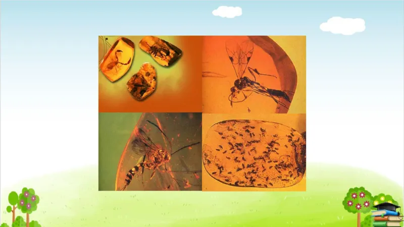 (全套课件)部编版语文四年级下册全册课件ppt_小学1-6年级全部试卷_语文_四年级_3-9-2、小学四年级语文下册_3-9-2-3、课件、讲义、教案