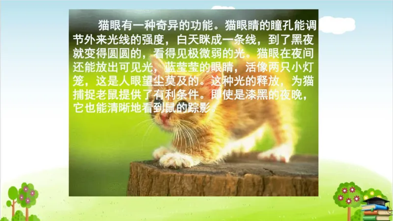 (全套课件)部编版语文四年级下册全册课件ppt_小学1-6年级全部试卷_语文_四年级_3-9-2、小学四年级语文下册_3-9-2-3、课件、讲义、教案