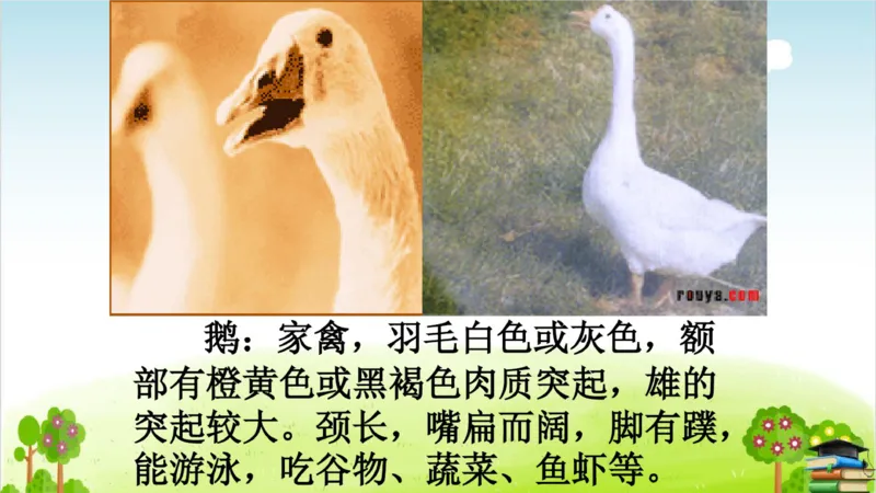 (全套课件)部编版语文四年级下册全册课件ppt_小学1-6年级全部试卷_语文_四年级_3-9-2、小学四年级语文下册_3-9-2-3、课件、讲义、教案