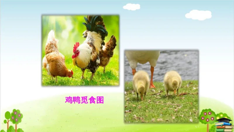 (全套课件)部编版语文四年级下册全册课件ppt_小学1-6年级全部试卷_语文_四年级_3-9-2、小学四年级语文下册_3-9-2-3、课件、讲义、教案