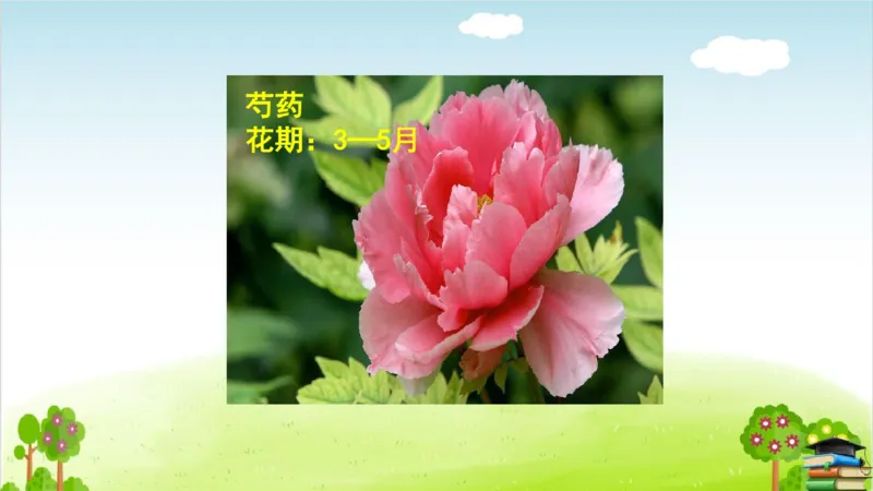 (全套课件)部编版语文四年级下册全册课件ppt_小学1-6年级全部试卷_语文_四年级_3-9-2、小学四年级语文下册_3-9-2-3、课件、讲义、教案