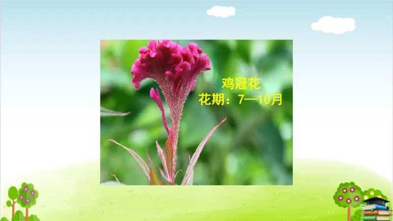 (全套课件)部编版语文四年级下册全册课件ppt_小学1-6年级全部试卷_语文_四年级_3-9-2、小学四年级语文下册_3-9-2-3、课件、讲义、教案