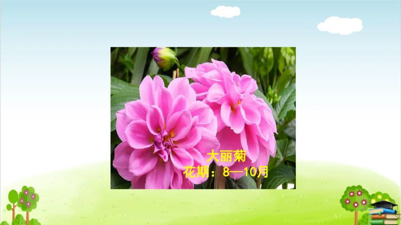 (全套课件)部编版语文四年级下册全册课件ppt_小学1-6年级全部试卷_语文_四年级_3-9-2、小学四年级语文下册_3-9-2-3、课件、讲义、教案