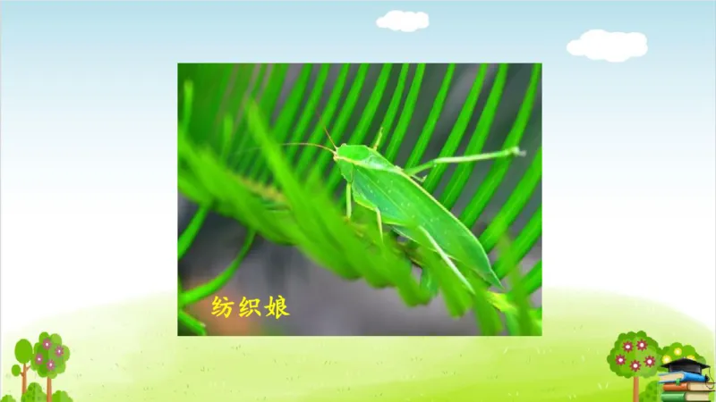 (全套课件)部编版语文四年级下册全册课件ppt_小学1-6年级全部试卷_语文_四年级_3-9-2、小学四年级语文下册_3-9-2-3、课件、讲义、教案