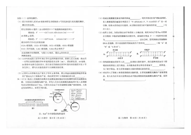 2024届福建省龙岩市高三下学期3月份质量检测一模生物(1)_2024年3月_013月合集_2024届福建省龙岩市高三下学期3月份质量检测一模