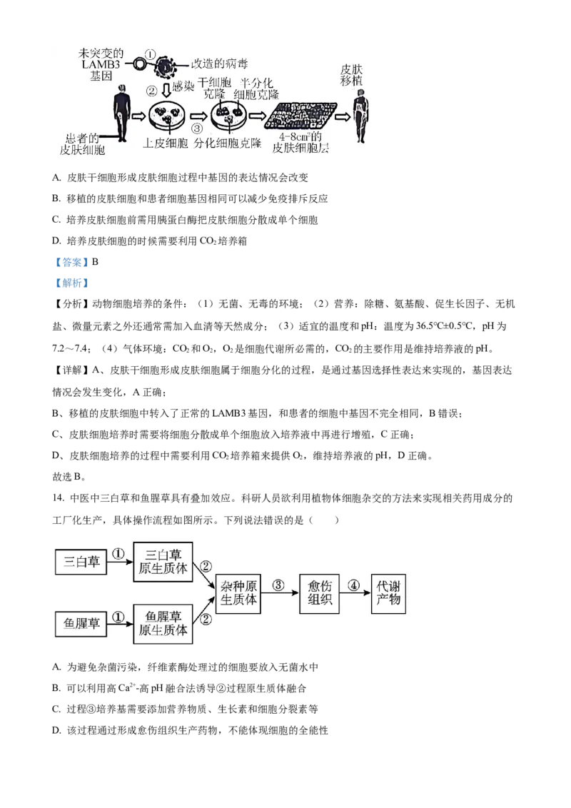 安徽省A10联盟2023-2024学年高二下学期6月月考试题生物Word版含解析(1)_6月_240613安徽省A10联盟2023-2024学年高二下学期6月调研考