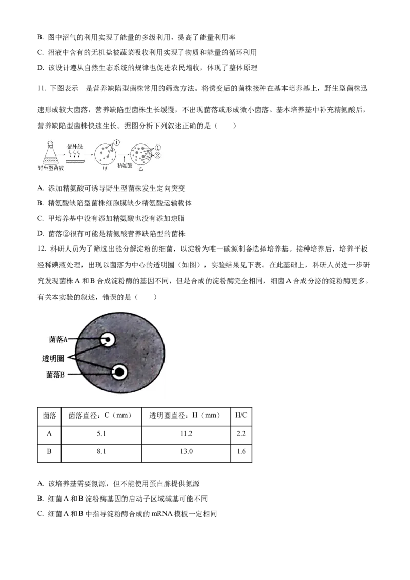 安徽省A10联盟2023-2024学年高二下学期6月月考试题生物Word版含解析(1)_6月_240613安徽省A10联盟2023-2024学年高二下学期6月调研考