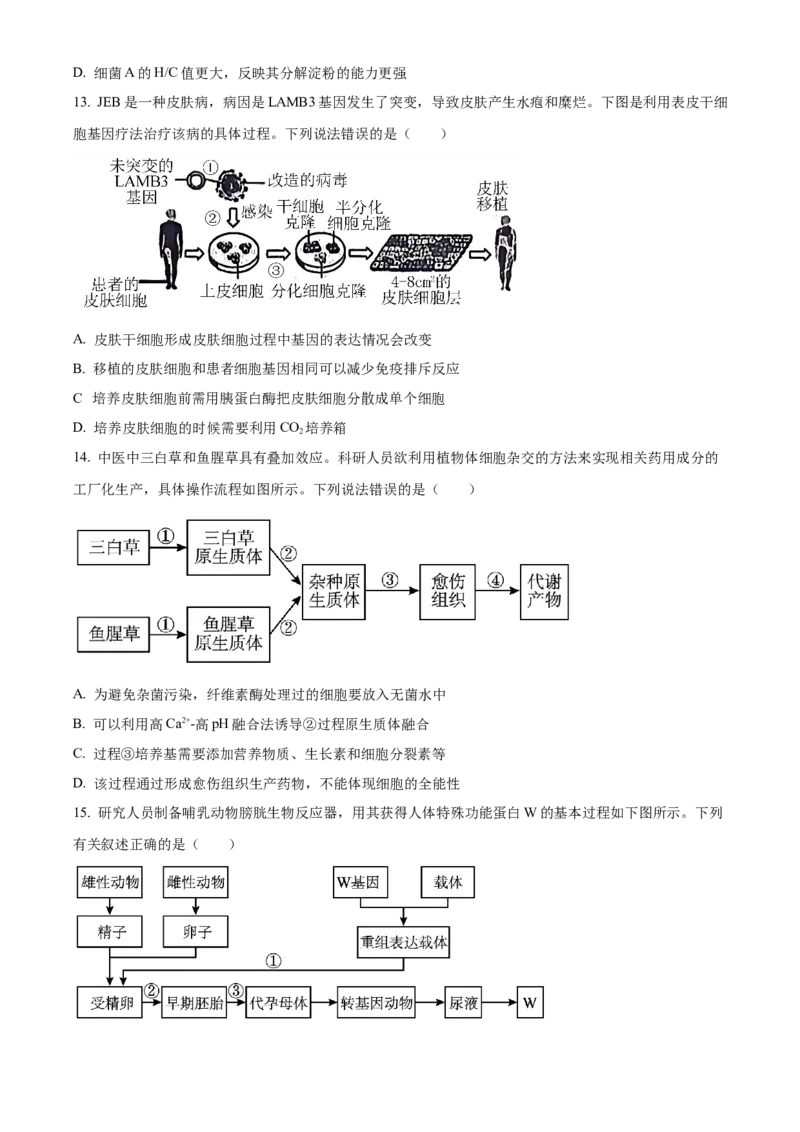 安徽省A10联盟2023-2024学年高二下学期6月月考试题生物Word版含解析(1)_6月_240613安徽省A10联盟2023-2024学年高二下学期6月调研考