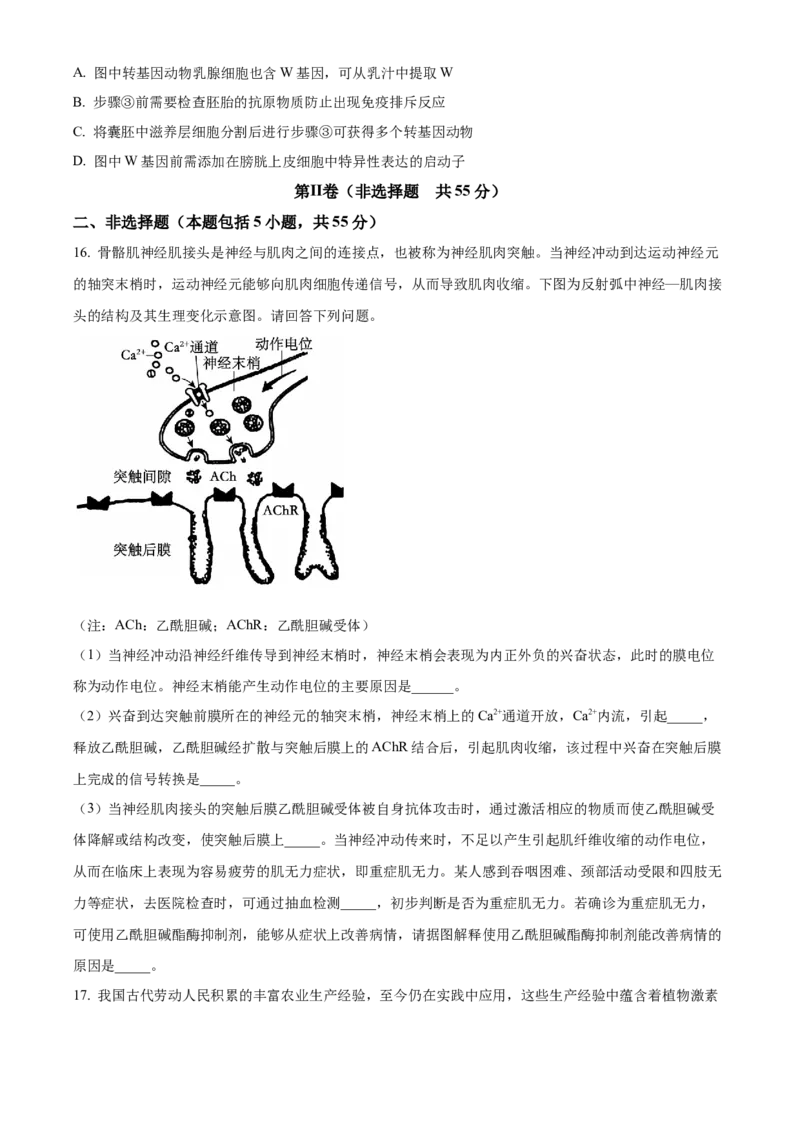 安徽省A10联盟2023-2024学年高二下学期6月月考试题生物Word版含解析(1)_6月_240613安徽省A10联盟2023-2024学年高二下学期6月调研考