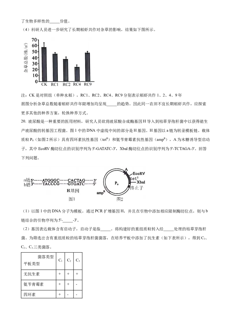 安徽省A10联盟2023-2024学年高二下学期6月月考试题生物Word版含解析(1)_6月_240613安徽省A10联盟2023-2024学年高二下学期6月调研考