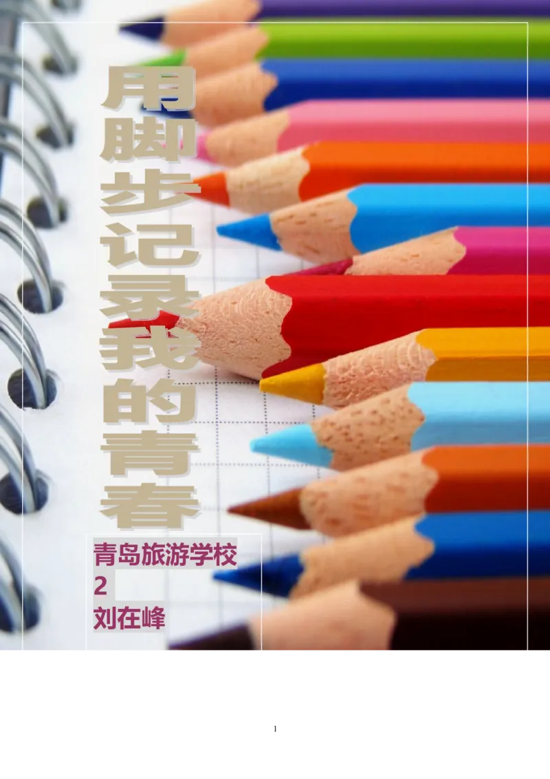 航空专业职业生涯规划_E6-职业规划_38航空专业