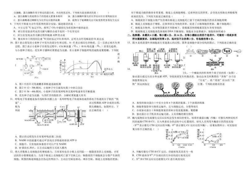 湖南省常德市第一中学2024-2025学年高三上学期第一次月考生物+答案(1)_10月_241003湖南省常德市第一中学2024-2025学年高三上学期第一次月考