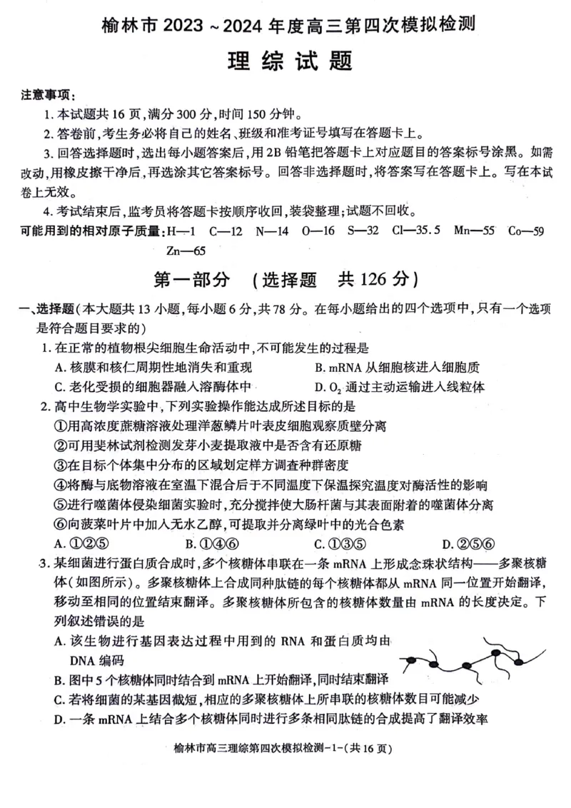 2024届陕西省榆林市高三下学期第四次模拟考试理综试题(1)_2024年5月_025月合集_2024届陕西省榆林市高三下学期第四次模拟考试