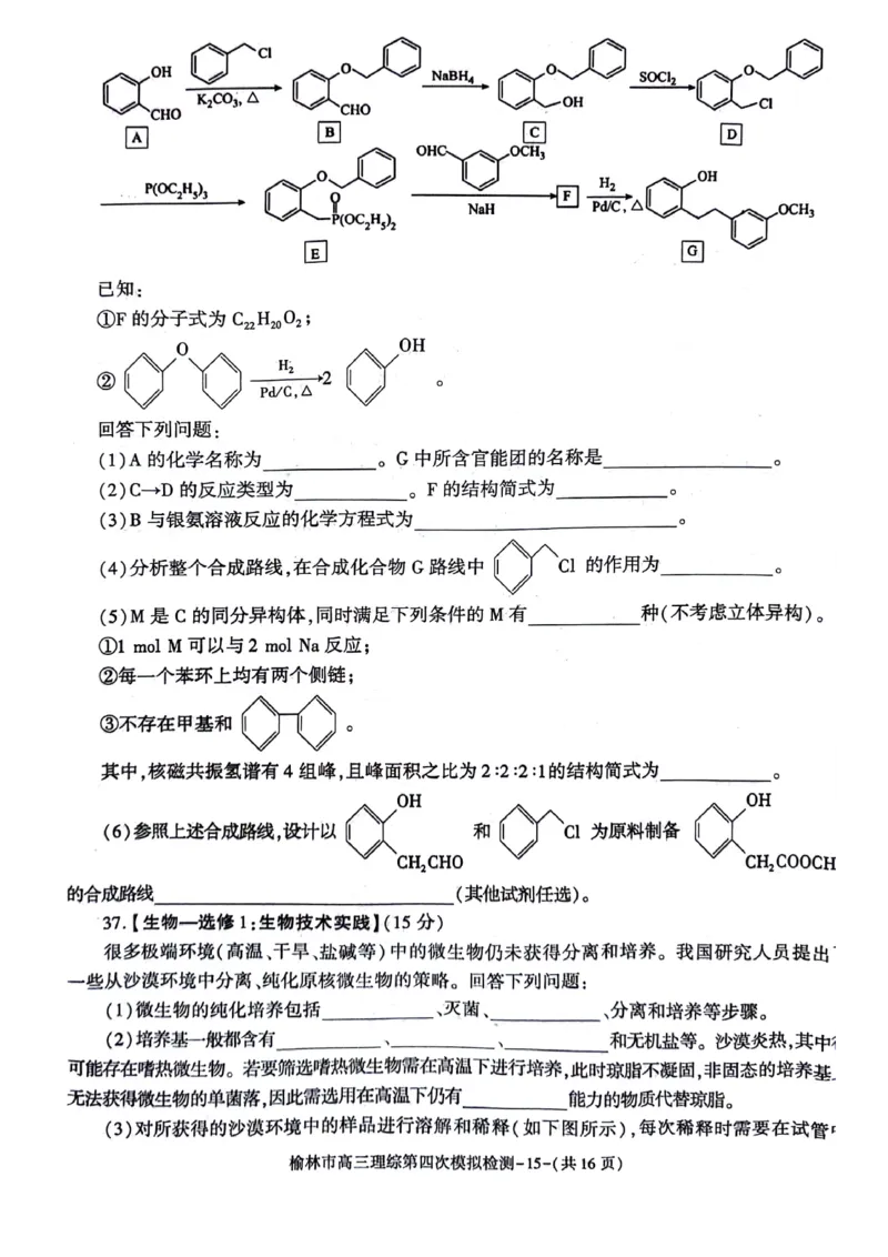 2024届陕西省榆林市高三下学期第四次模拟考试理综试题(1)_2024年5月_025月合集_2024届陕西省榆林市高三下学期第四次模拟考试