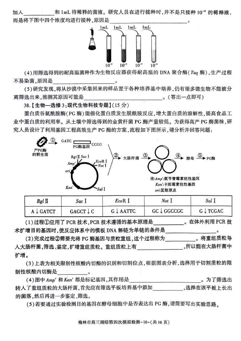 2024届陕西省榆林市高三下学期第四次模拟考试理综试题(1)_2024年5月_025月合集_2024届陕西省榆林市高三下学期第四次模拟考试