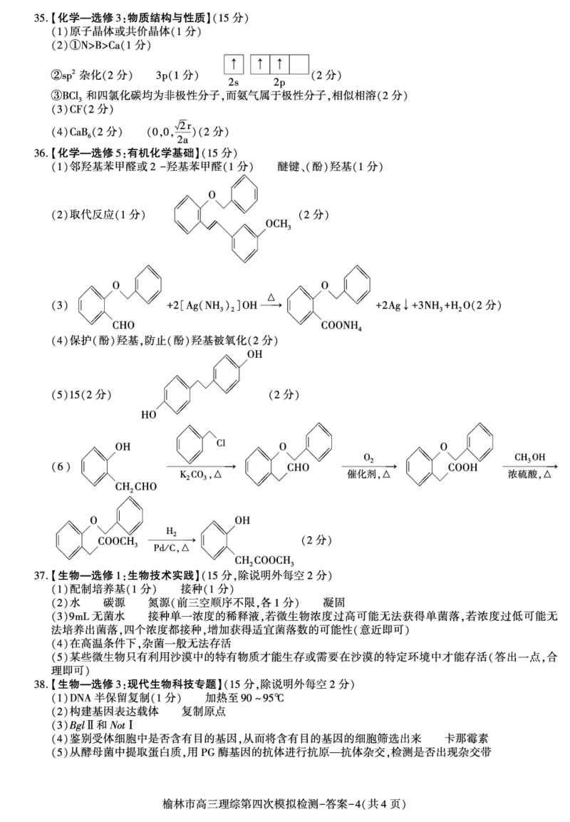 2024届陕西省榆林市高三下学期第四次模拟考试理综试题(1)_2024年5月_025月合集_2024届陕西省榆林市高三下学期第四次模拟考试