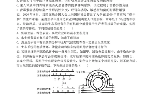 2024届百万金太阳生物试题HEB(1)_2024年5月_025月合集_2024届金太阳百万金太阳高三5月大联考（盾牌眼）