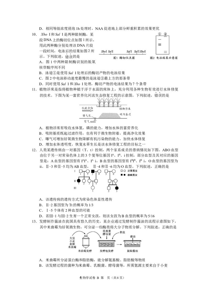 2024年广州市普通高中毕业班冲刺训练（一）-生物学_2024年5月_01按日期_21号_2024届广东省广州普通高中毕业班高三冲刺训练题_2024年广州市普通高中毕业班冲刺训练题-生物