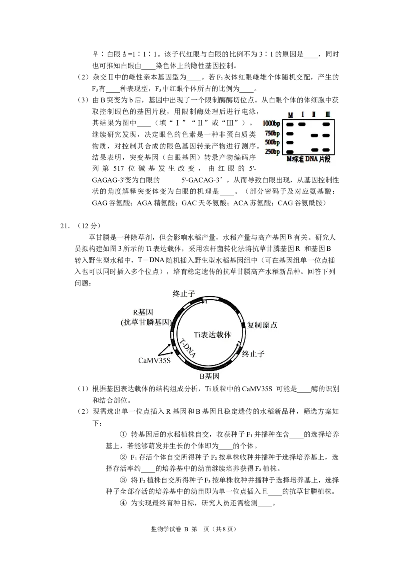 2024年广州市普通高中毕业班冲刺训练（一）-生物学_2024年5月_01按日期_21号_2024届广东省广州普通高中毕业班高三冲刺训练题_2024年广州市普通高中毕业班冲刺训练题-生物