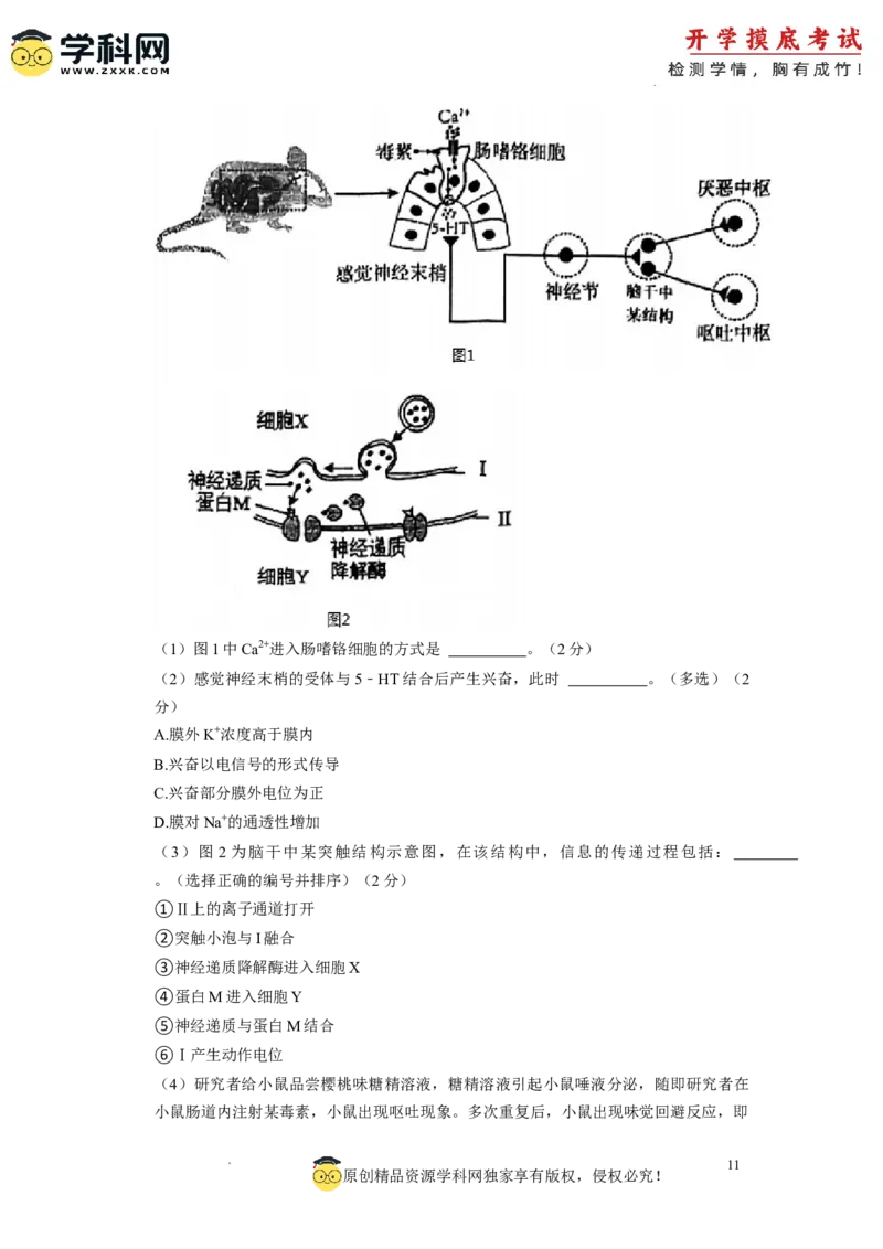 生物-2024届新高三开学摸底考试卷（上海专用）(解析版)_2024届新高三开学摸底考试卷_生物-2024届新高三开学摸底考试卷_生物-2024届新高三开学摸底考试卷（上海专用）_39583883