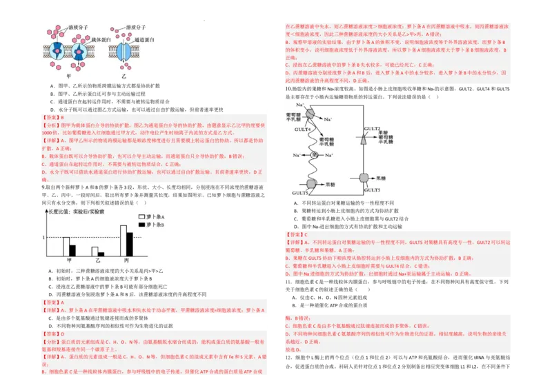 生物--2024-2025学年第一学期高三第一次月考试卷（8月）教师卷--2024-2025学年第一学期高三生物第一次月考试卷（8月）_8月_240821新疆石河子第一中学2024-2025学年高三上学期开学考试