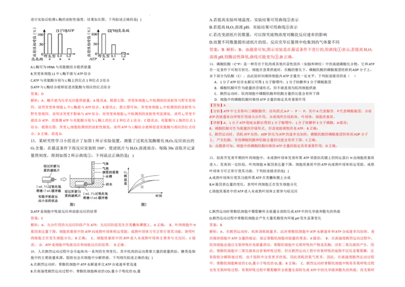 生物--2024-2025学年第一学期高三第一次月考试卷（8月）教师卷--2024-2025学年第一学期高三生物第一次月考试卷（8月）_8月_240821新疆石河子第一中学2024-2025学年高三上学期开学考试