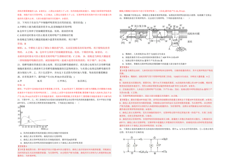 生物--2024-2025学年第一学期高三第一次月考试卷（8月）教师卷--2024-2025学年第一学期高三生物第一次月考试卷（8月）_8月_240821新疆石河子第一中学2024-2025学年高三上学期开学考试