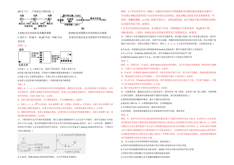生物--2024-2025学年第一学期高三第一次月考试卷（8月）教师卷--2024-2025学年第一学期高三生物第一次月考试卷（8月）_8月_240821新疆石河子第一中学2024-2025学年高三上学期开学考试